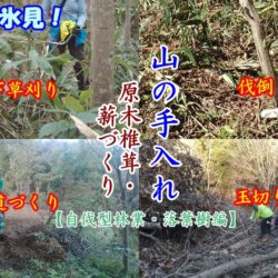 里山再生！山の変化が学べる自伐型林業（落葉樹編）