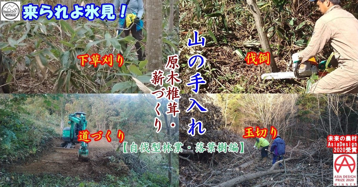 里山再生！山の変化が学べる自伐型林業（落葉樹編）