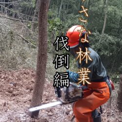小さな林業(伐倒編)