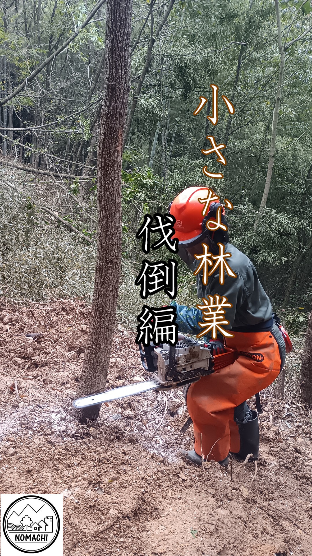 小さな林業(伐倒編)