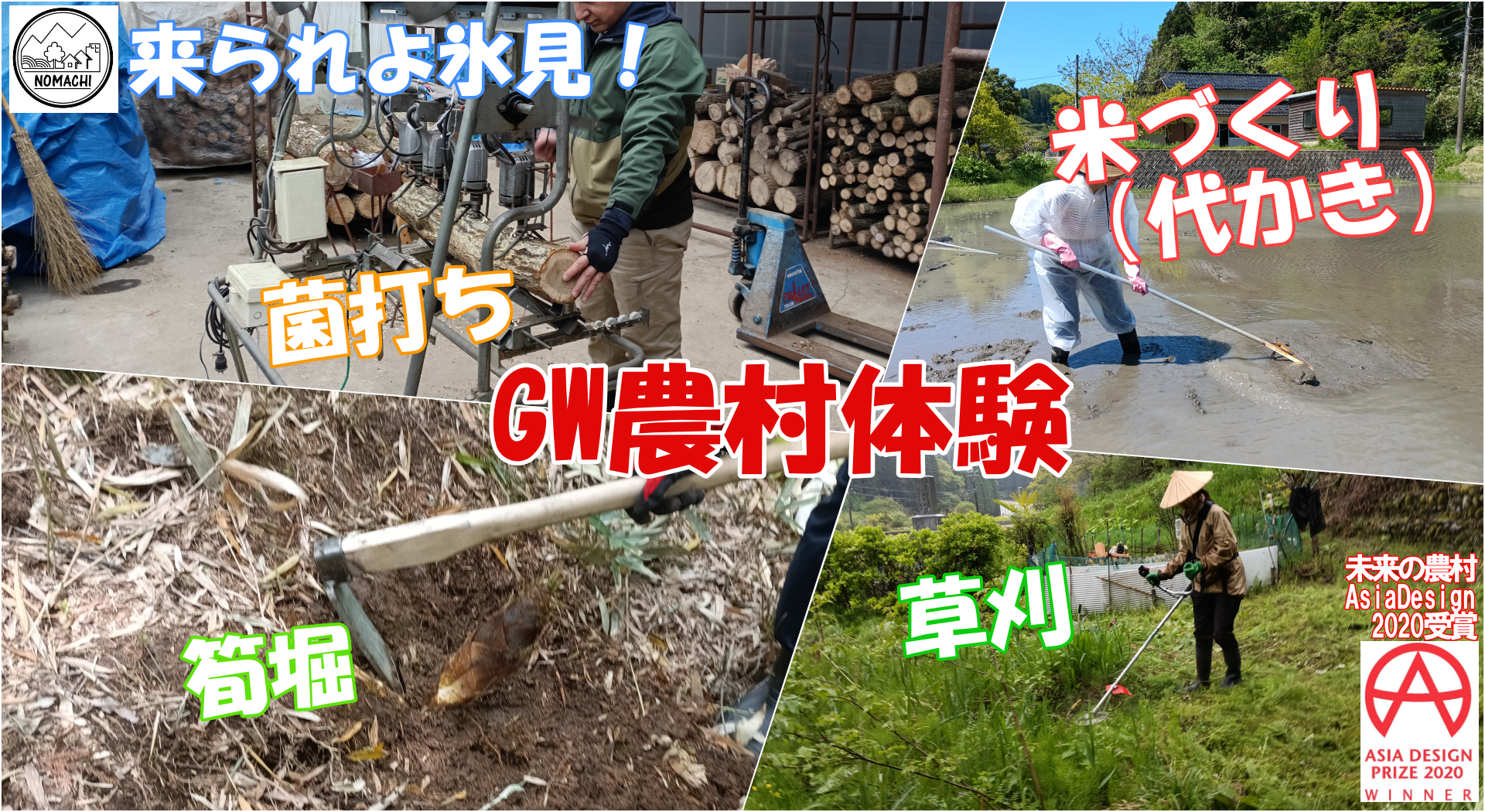 【GW農村体験】キノコの菌打ち・山菜(タケノコ・ヨシナ)採り/365日田舎体験