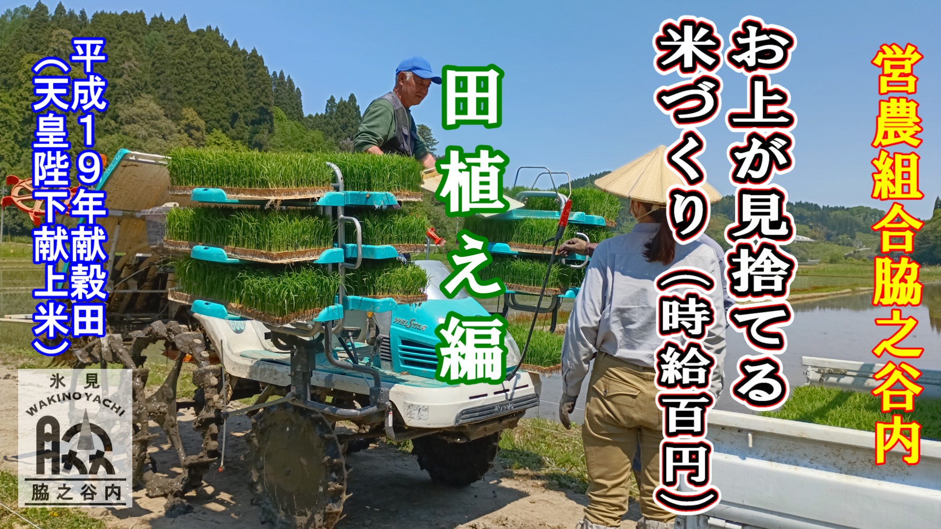 【お上が見捨てる米作り(時給100円)】田植え編/365日田舎体験